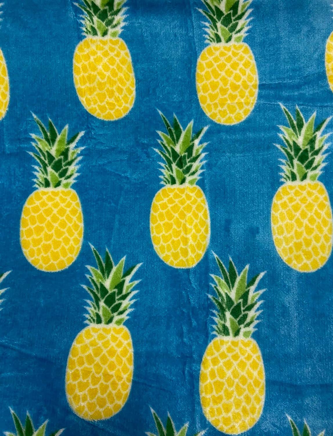 Summertime Whimsy Plush Fleece Throw Blanket (50" x 60") - Pineapple