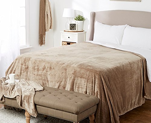 Decor&More Simply Lush Solid Microplush Blanket